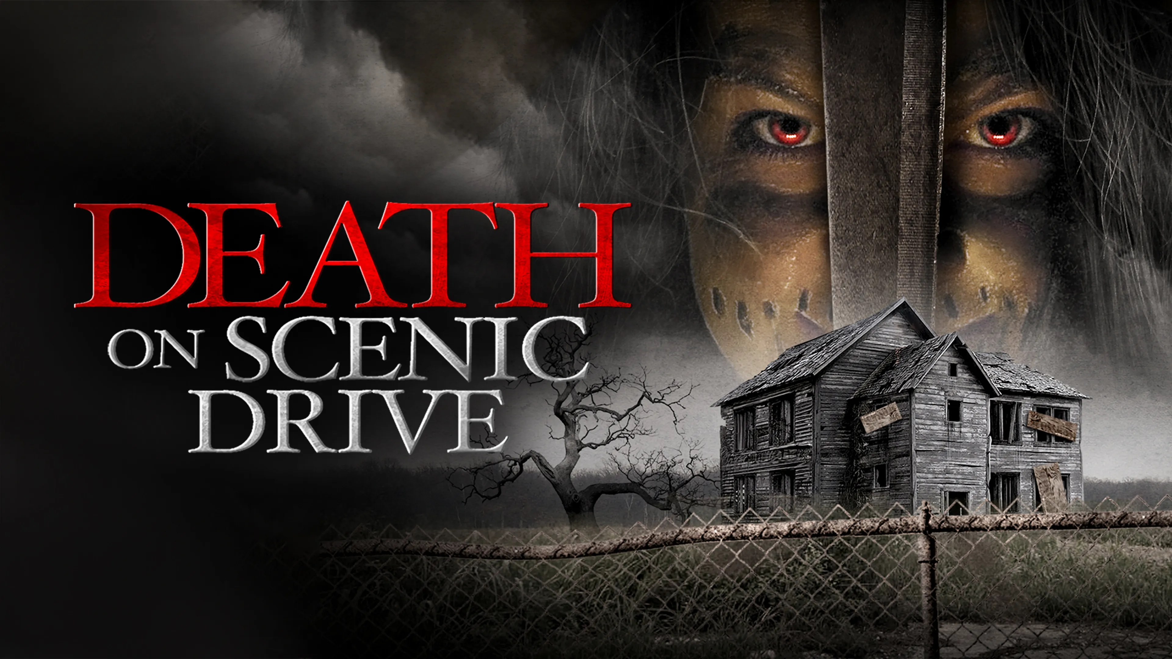 Death on Scenic Drive poster
